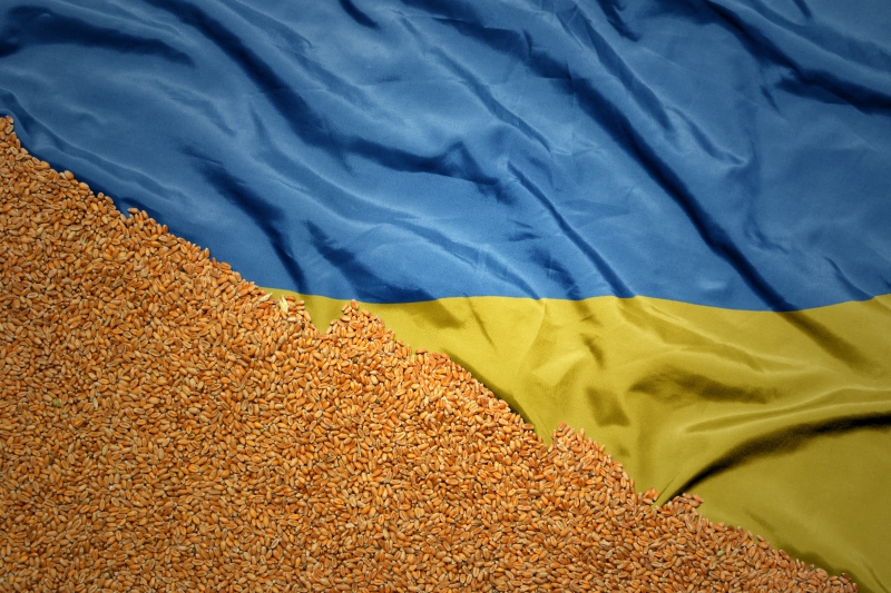 "Инфраструктура разрушена, ресурсы ограничены": На Украине осознали глубину кризиса в агросекторе