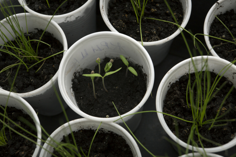 Испанец довёл русскую до истерики, пока смотрел квартиру. Улыбнитесь и вы