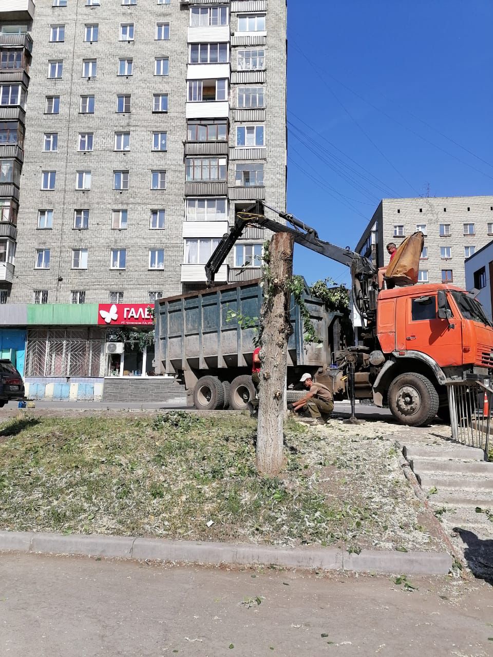 В Новосибирске жители улицы Бориса Богаткова возмущены сносом деревьев под  торговые павильоны