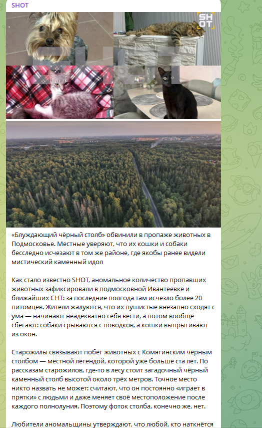 Массовая пропажа домашних животных в Подмосковье: Местные в ужасе винят "чёрный столб"