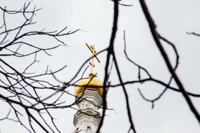 Такого ещё не было! Православие захватывает США: Молодёжь сделала свой выбор — церкви переполнены