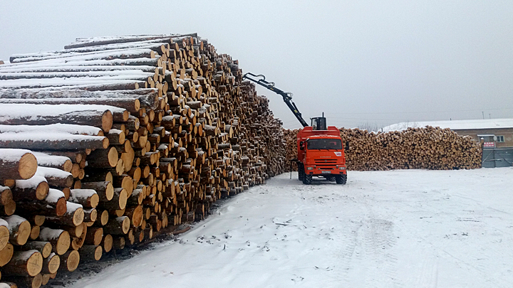 Кто вырубает русский лес? Часть 1: Залысины на таёжном ковре