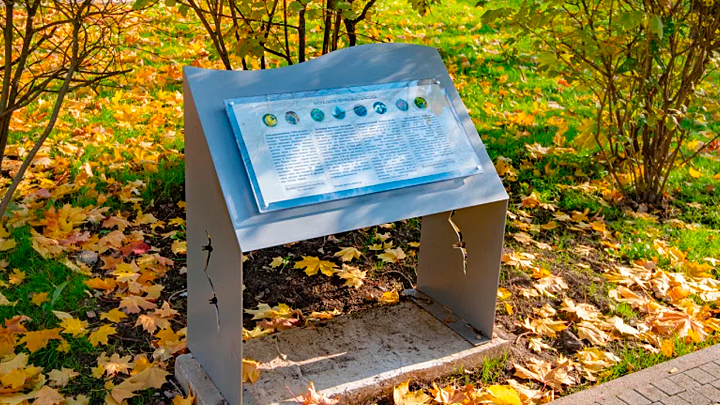 Фото: Официальный портал Мэра и Правительства Москвы (mos.ru)