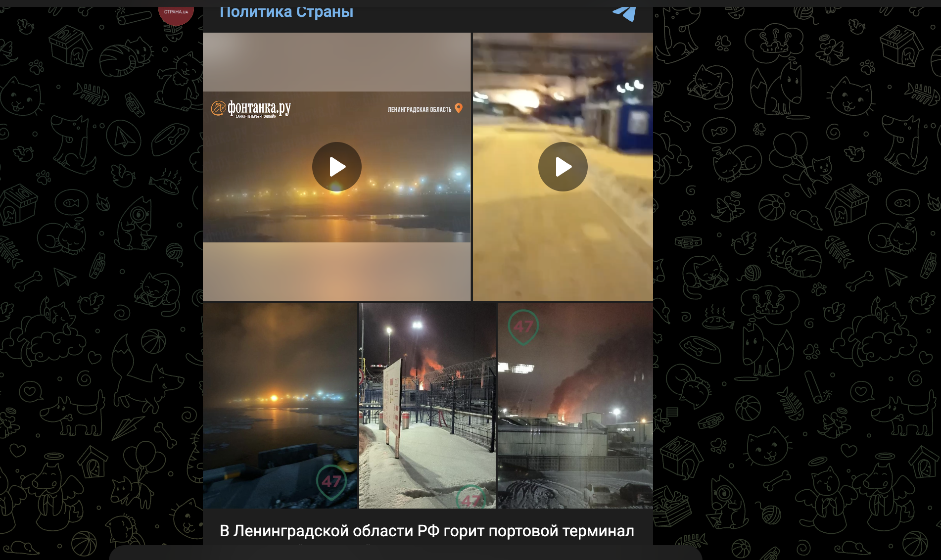 Сообщение о представителях. Сообщение о представителях
