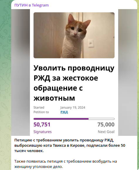 Выбросить кота и разозлить всю Россию. История, где невиновных нет