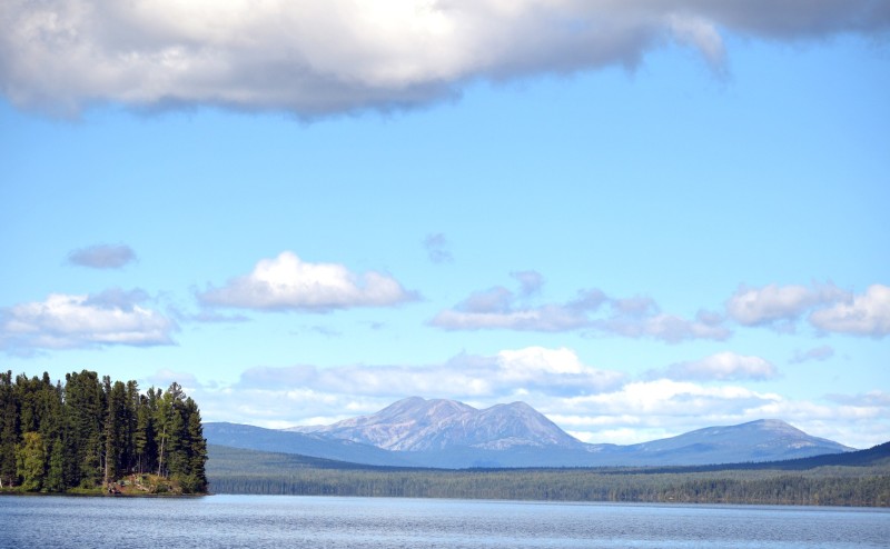 Михалков показал ещё одну гиблую "таблетку" для России от Рокфеллеров
