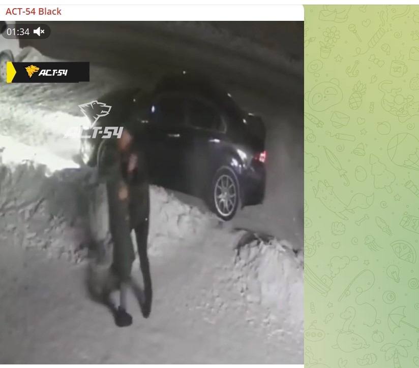 В Новосибирске мужчина силой затащил девушку в машину и увез ее