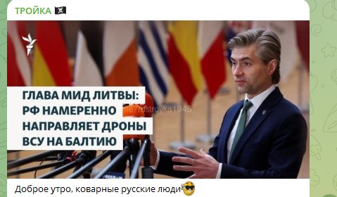 "Силой мысли!": МИД Литвы зашёлся в истерике из-за России. Русские испытали испанский стыд – "из-за них человечество вымрет"