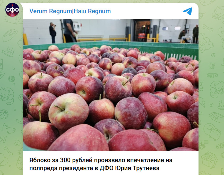Чиновник рубанул правду. Хотелось ещё фактов. Но он и так сказал больше, чем мог