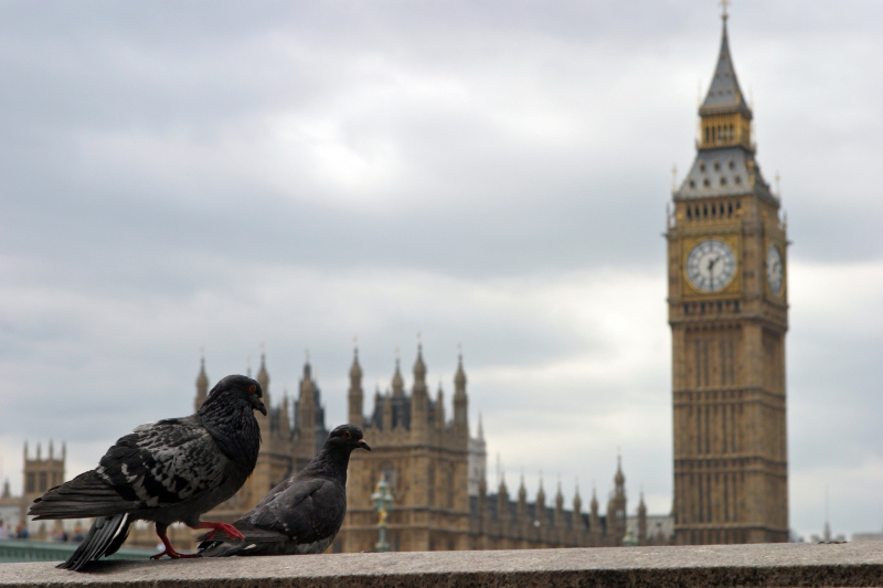 Неучи, мигранты и солдаты: "Те, кто может уехать, должны уехать": Британский эксперт сделал неожиданный вывод о Лондоне