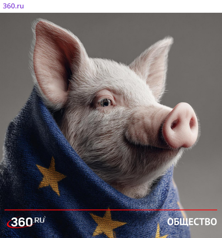 "Поросёнок Гюнтер - это я!": Европейский чиновник решил "перетроллить" Путина, но вышло странно