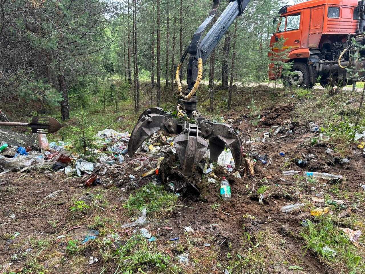 4 тонны бутылок, коробок и досок: активисты вместе с оператором убрали в  Вельске 