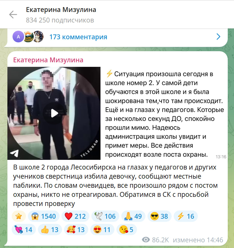 Школьницу избили на глазах у всех, но никто не отреагировал: Мизулина обратится в СК