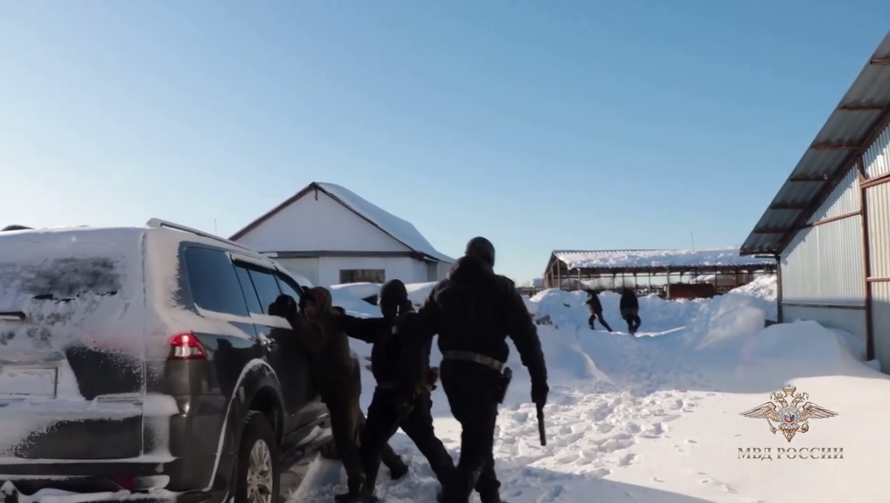 Откуда "фирменный" шоколад на WB и других маркетплейсах: МВД накрыло всю банду