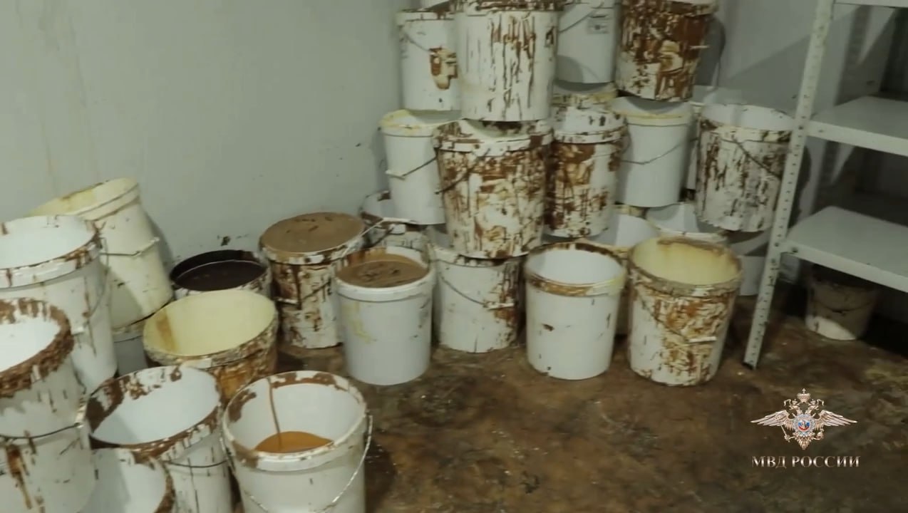 Откуда "фирменный" шоколад на WB и других маркетплейсах: МВД накрыло всю банду