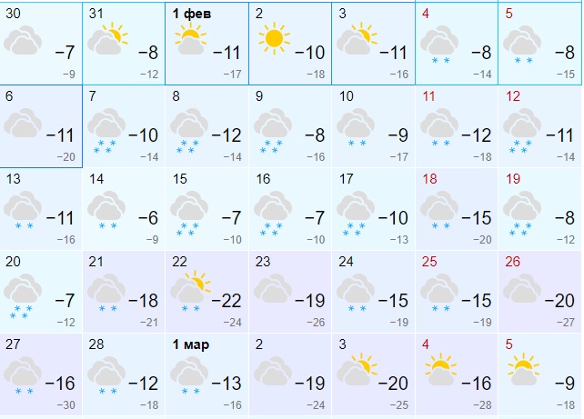 Погода на февраль месяц