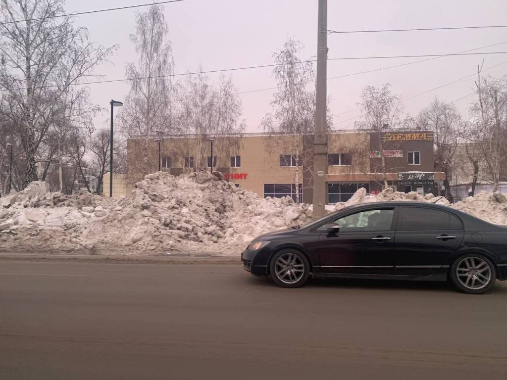 Они обломали деревья и кустарник: кучи снега привели Челябинск к серьезной  проблеме