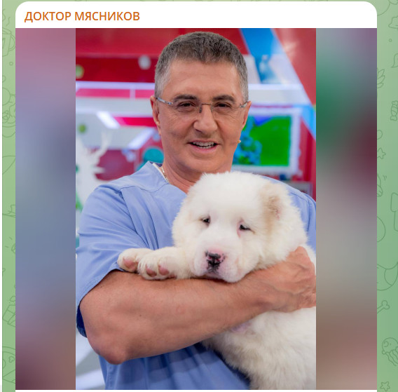 "Ведутся либо на идиотов-блогеров, либо на врачей-преступников": Мясников жёстко отругал русских из-за одного действия
