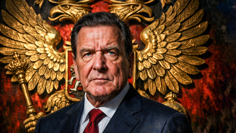 Здравый голос из Германии. Шрёдер требует прекратить травлю России