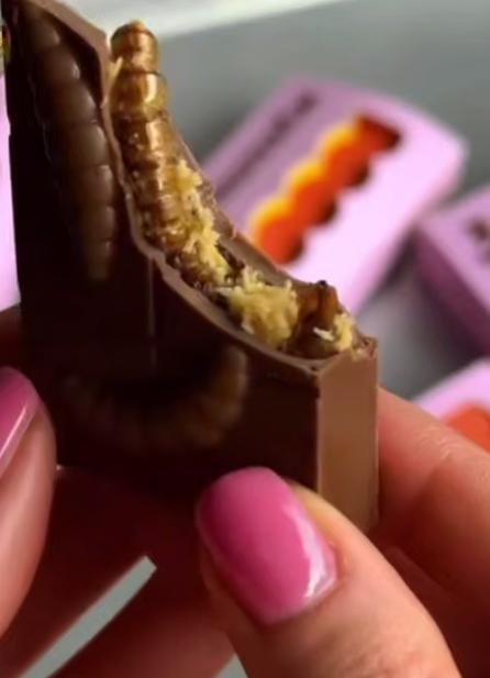 Раздаётся громкий хруст! На Украине продают шоколад с личинками жуков. Кому по зубам экзотическое лакомство?