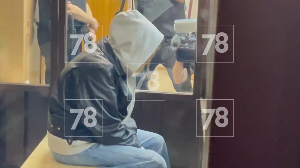 Аглая Тарасова в суде. Внимание на лицо: Давление серьёзное. Грозит до семи лет