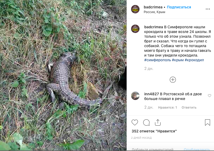 Местные власти принимают меры для безопасности