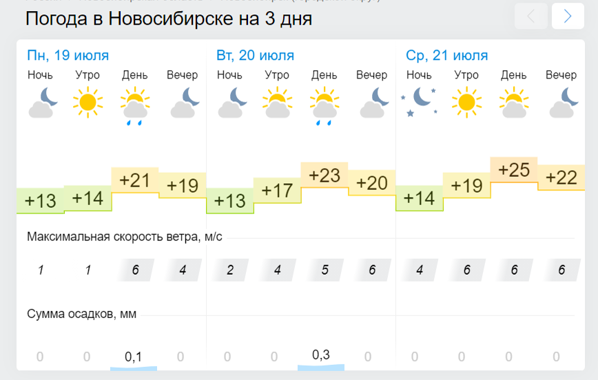 Погода в магадане на неделю гисметео. Погода в Биробиджане на неделю. Погода в Рубцовске. Гисметео картинки. Погода 33 Рубцовск.