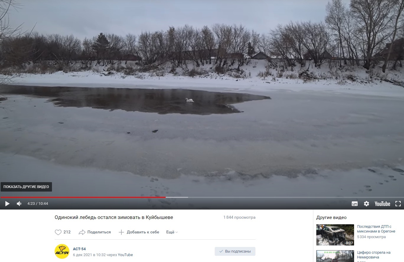 Куда пропал блиц. Замерзшая Москва река. Москва-река замерзла 1601 год. Замерзает ли река Нерль. Замерзает ли река Нерль зимой.