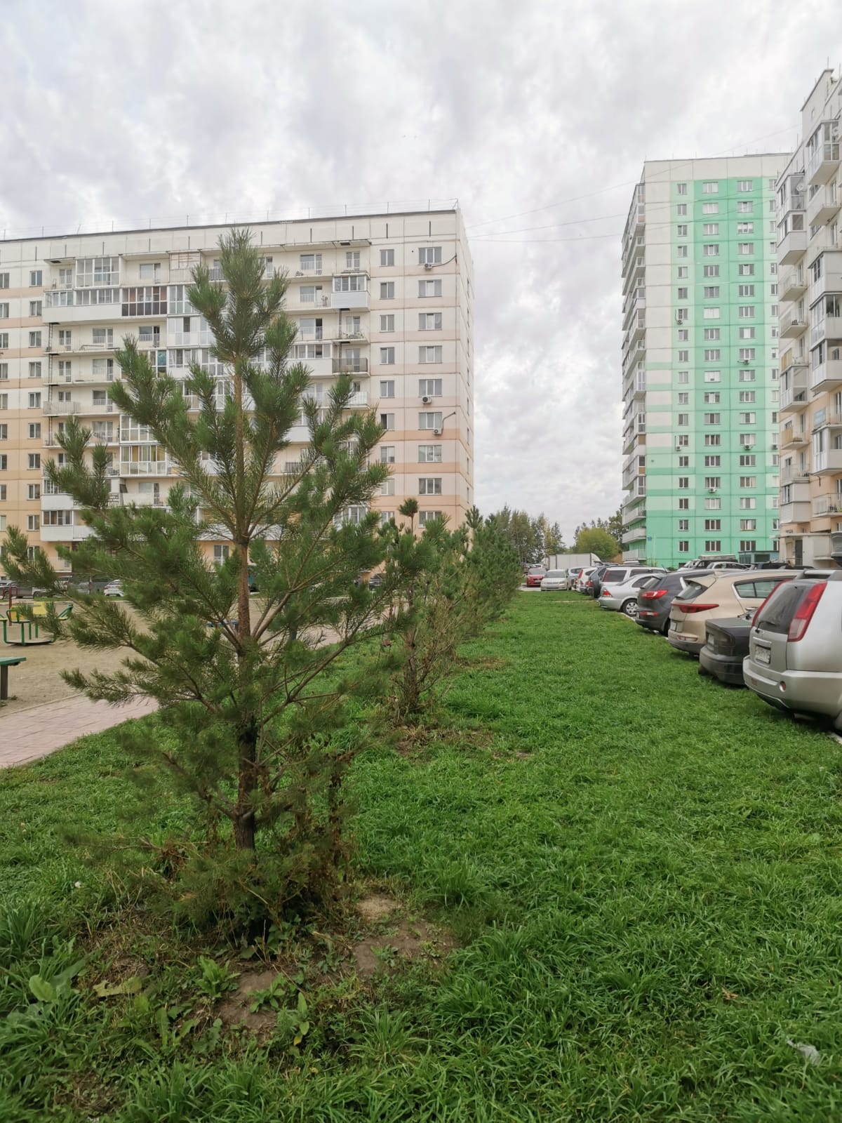 что горит на плющихинском жилмассиве. Смотреть фото что горит на плющихинском жилмассиве. Смотреть картинку что горит на плющихинском жилмассиве. Картинка про что горит на плющихинском жилмассиве. Фото что горит на плющихинском жилмассиве