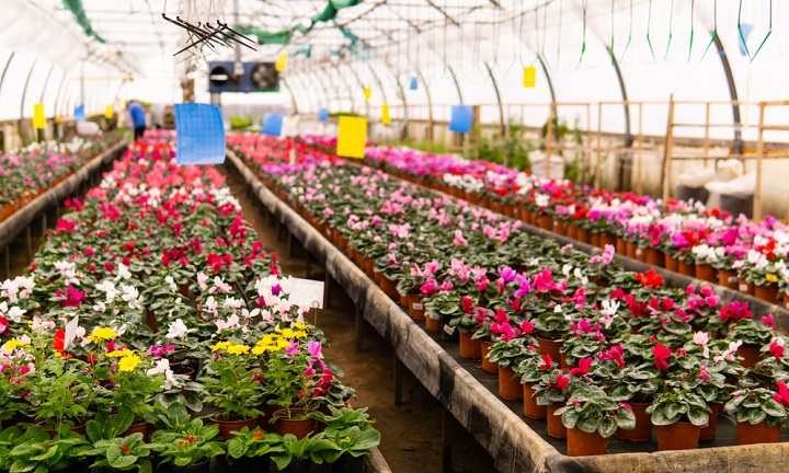 США проиграли войну №1, не заметив прыжка России США проиграли войну №1, не заметив прыжка России геополитика,россия