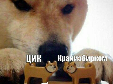 Фото: соцсети